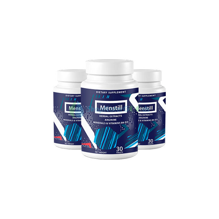 Menstill V České republice