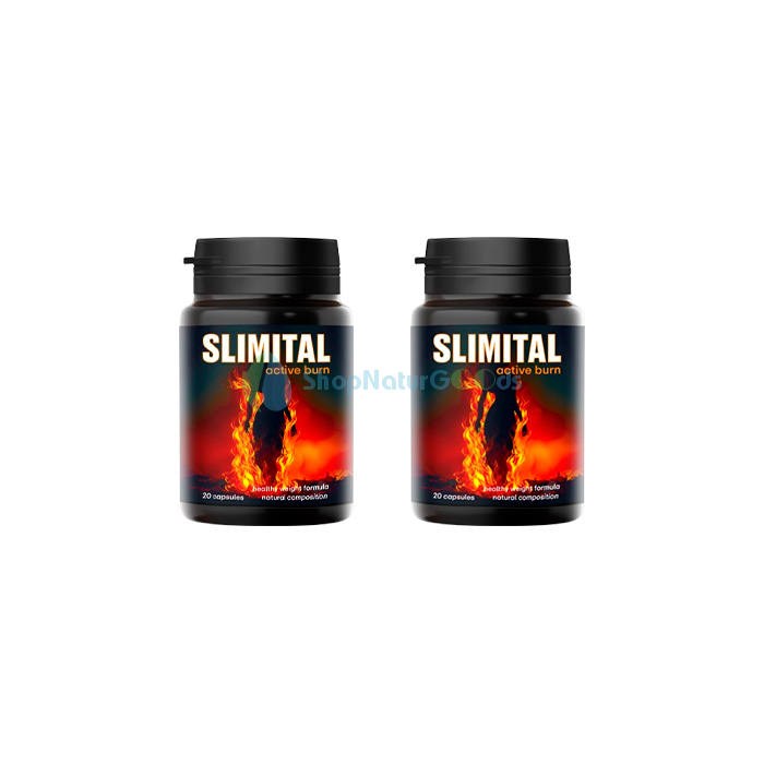 Slimital V České republice Slimital V České republice