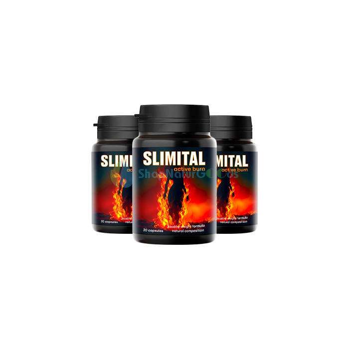 Slimital V České republice Slimital V České republice