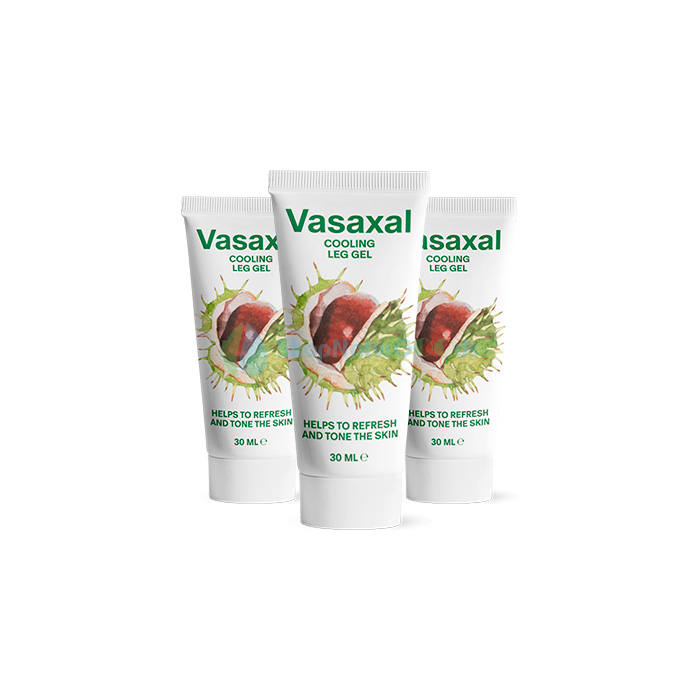 Vasaxal V České republice Vasaxal V České republice