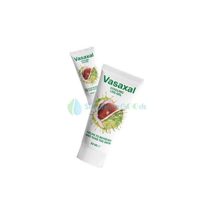 Vasaxal V České republice