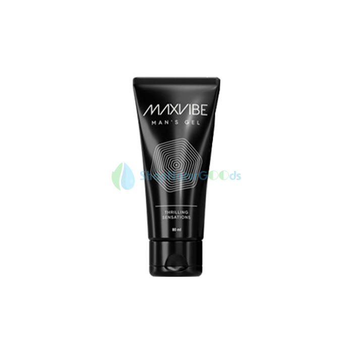 Max Vibe V České republice