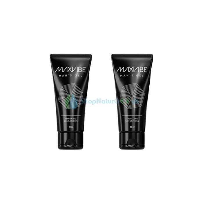 Max Vibe V České republice