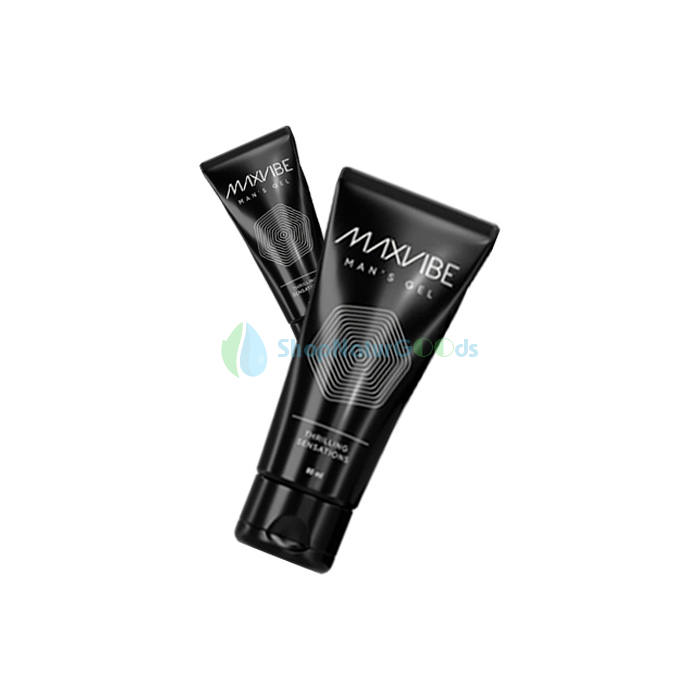 Max Vibe V České republice