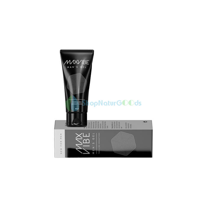 Max Vibe V České republice