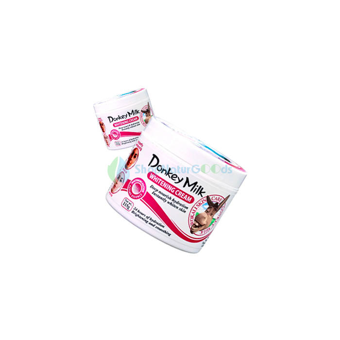 Donkey Milk V České republice