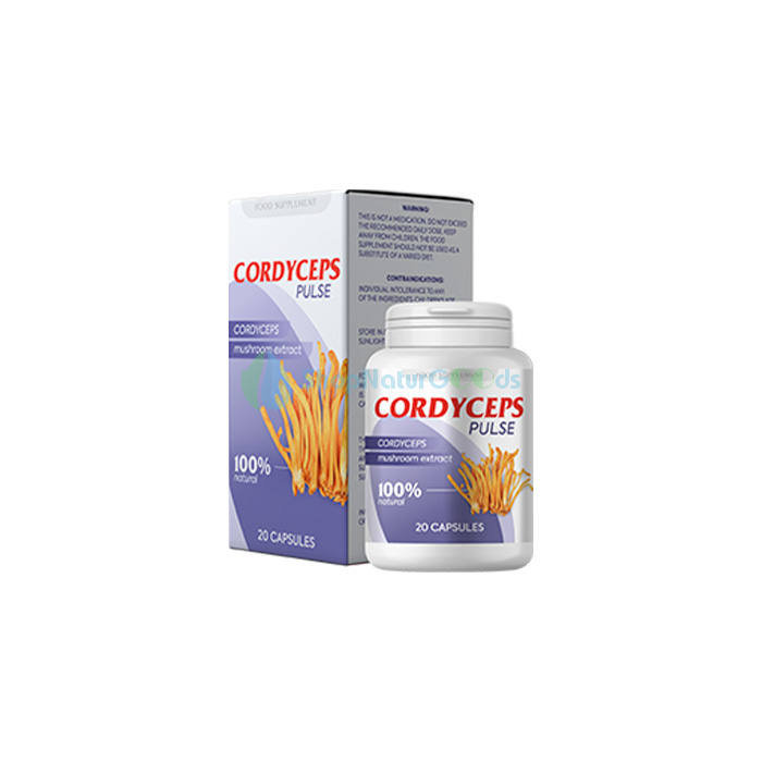 Cordyceps Pulse V České republice Cordyceps Pulse V České republice