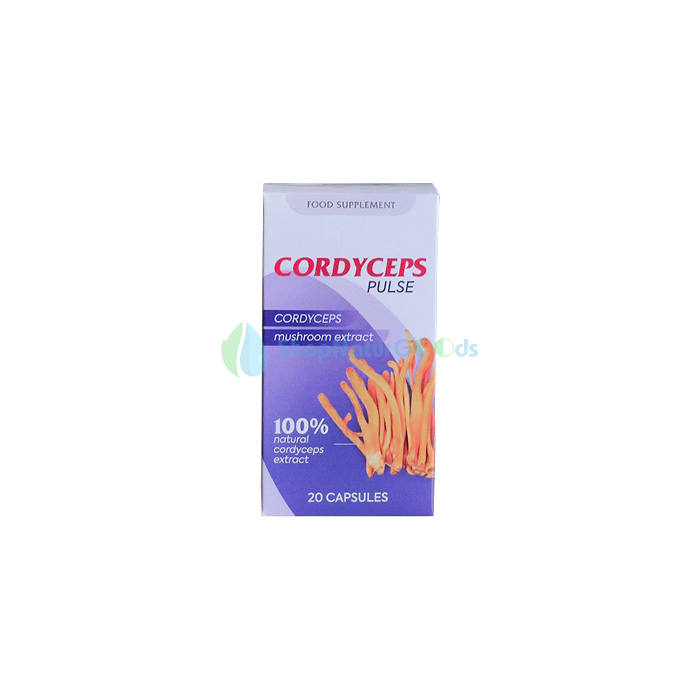 Cordyceps Pulse V České republice Cordyceps Pulse V České republice