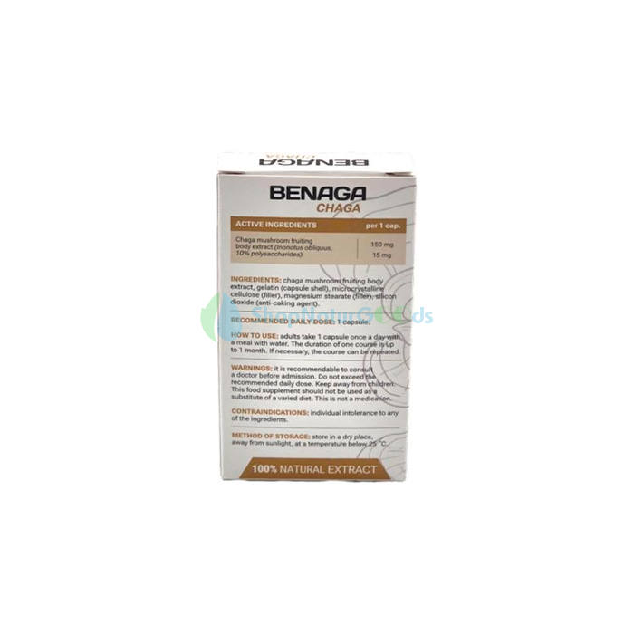 Benaga Chaga V České republice Benaga Chaga V České republice