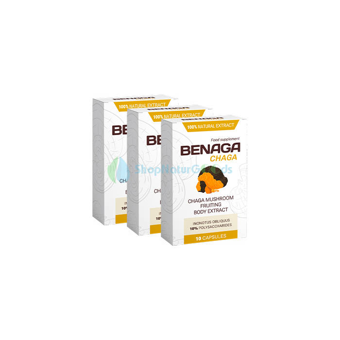 Benaga Chaga V České republice Benaga Chaga V České republice