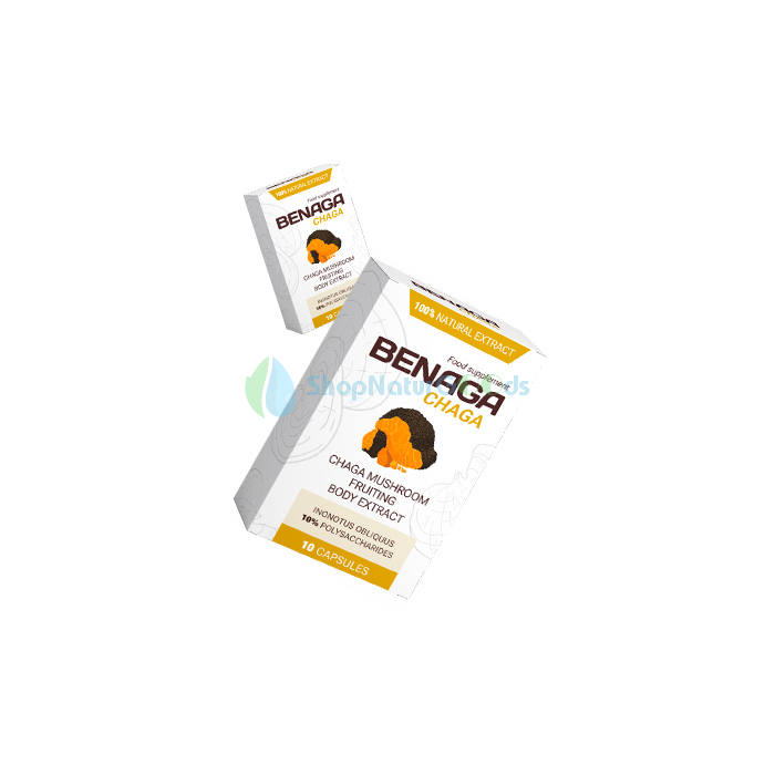 Benaga Chaga V České republice