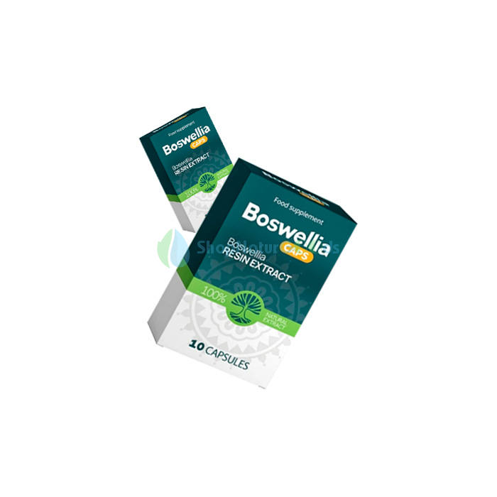 Boswellia V České republice